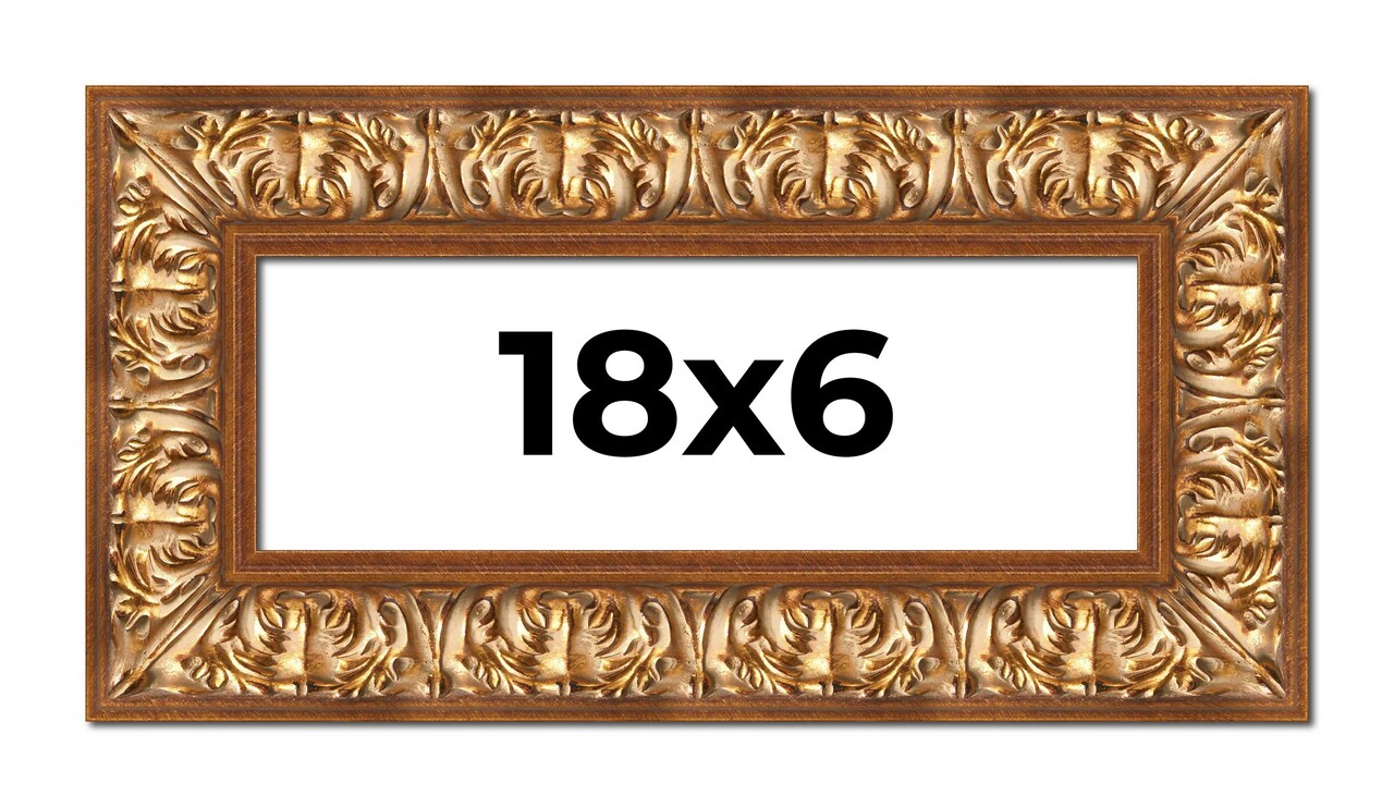 Panoramic Modern Shadow Box 1" Depth Gold Frame - UV Acrylic, Backing, Hanging Hardware